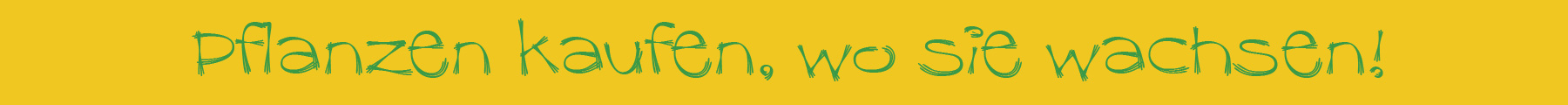 Pflanzen kaufen, wo sie wachsen